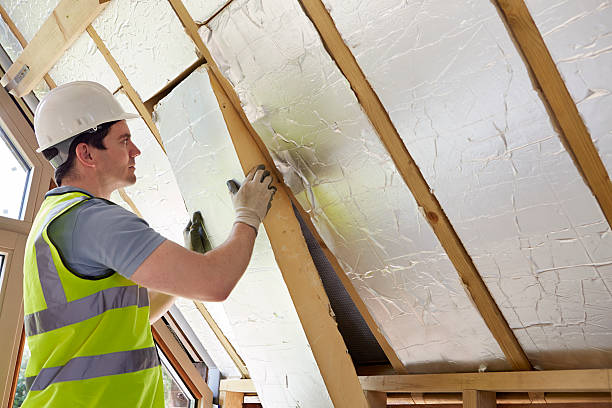 Best Eco-Friendly Insulation in Lauderdale Lakes, FL