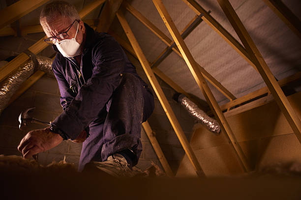 Best Spray Foam Insulation in Lauderdale Lakes, FL