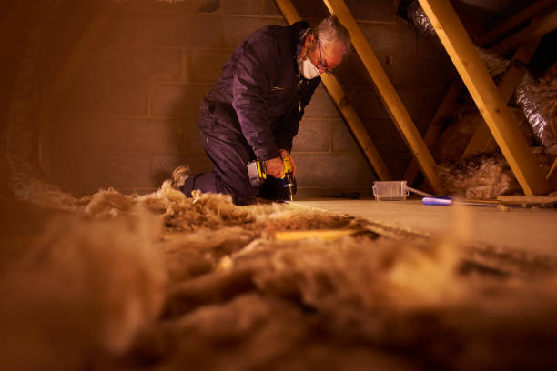 Best Blown-in Insulation in Lauderdale Lakes, FL